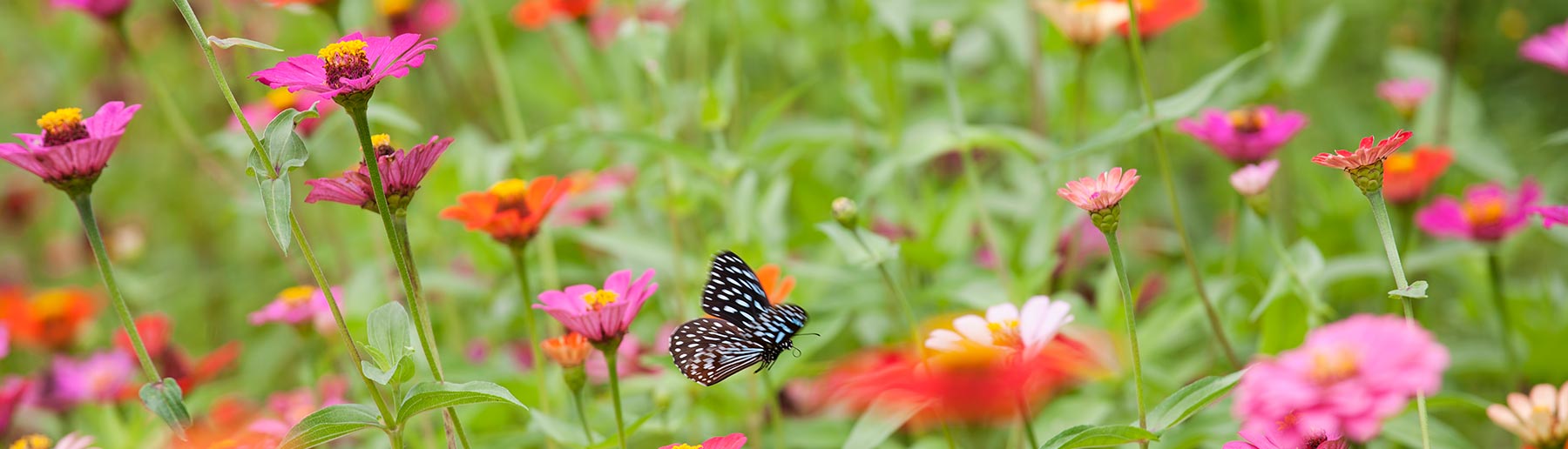 Contact Kirby McIlyar Counseling